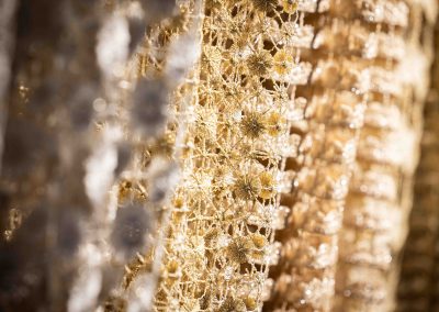 Heimtextil | Messe Frankfurt | 01.2025