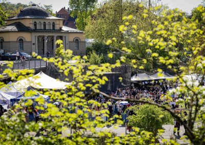 Frühling International | Würzburg | 04.2026